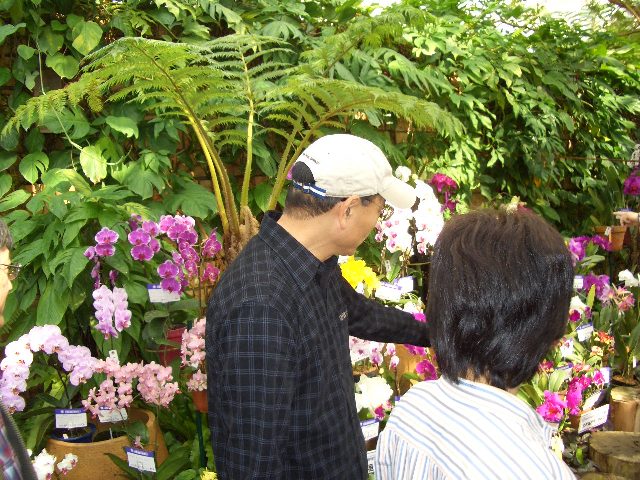 CIMG3675.jpg