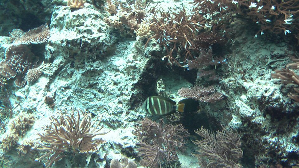 IMGA0095.jpg