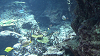 IMGA0097_thumb.png