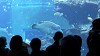 IMGA0098_thumb.png