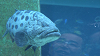 IMGA0102_thumb.png