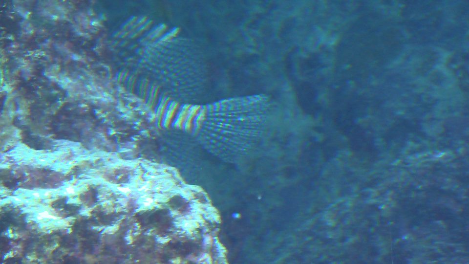 IMGA0103.jpg