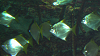 IMGA0104_thumb.png