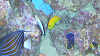 IMGA0105_thumb.png