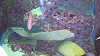 IMGA0106_thumb.png