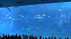 IMGA0109_thumb.png