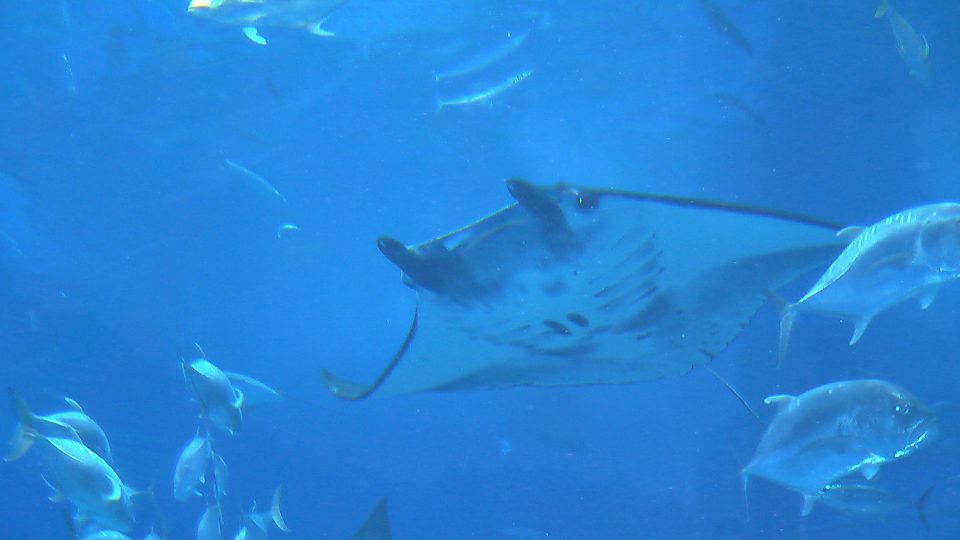 IMGA0113.jpg