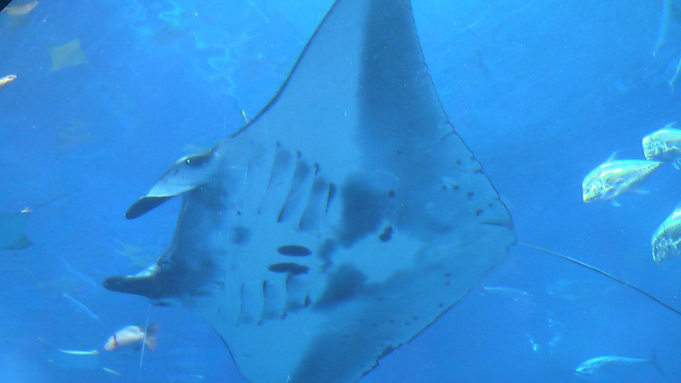 IMGA0114.jpg