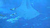IMGA0116_thumb.png