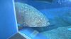 IMGA0124_thumb.png