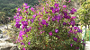 IMGA0134_thumb.png