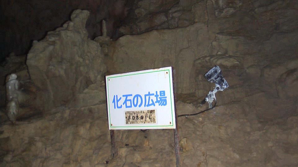 IMGA0154.jpg