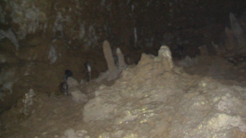 IMGA0155.jpg