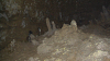 IMGA0155_thumb.png