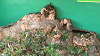 IMGA0162_thumb.png