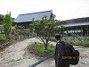 IMG_3232_R_thumb.png
