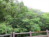 IMG_3277_R_thumb.png