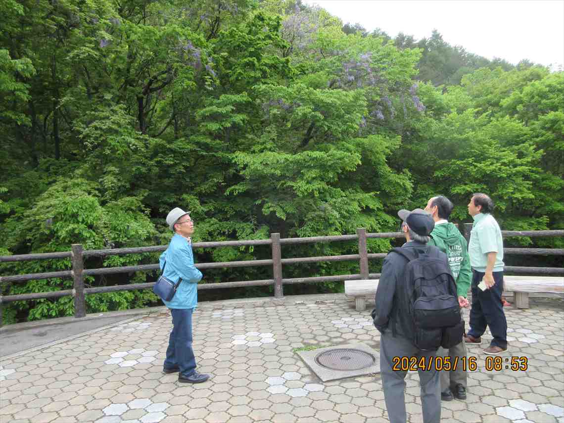IMG_3278_R.JPG