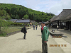 IMG_3286_R_thumb.png