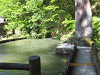 IMG_3334_R_thumb.png