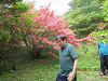 IMG_3373_R_thumb.png
